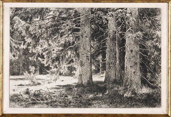 Шишкин Иван Иванович. Ели в Шуваловском парке